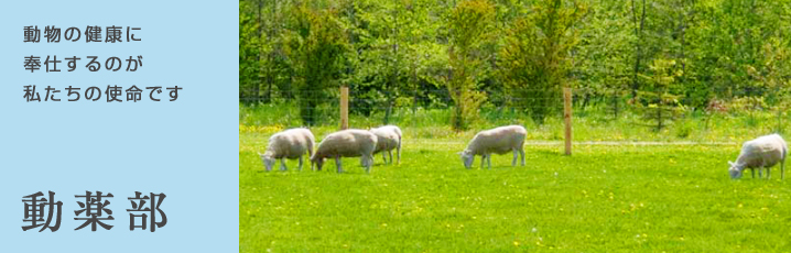 動薬部